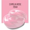 imageFolkArt 4035 Enamel Paint 2 Ounce Clear MediumCamelia Rose
