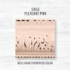 imageFolkArt Home Dcor Chalk Finish Acrylic Paint 8oz 8 ounce Milk JugPleasant Pink
