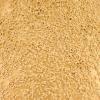 imageFolkArt Sugar Metallic Acrylic Craft Paint Evergold 2 fl oz Textured Paint for Indoor and Outdoor DIY Arts and Crafts Projects 50911Golden Light