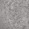 imageFolkArt Sugar Metallic Acrylic Craft Paint Evergold 2 fl oz Textured Paint for Indoor and Outdoor DIY Arts and Crafts Projects 50911Space Gray