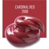 imageFolkArt MultiSurface Paint in Assorted Colors 2 oz 2928 LavenderCardinal Red